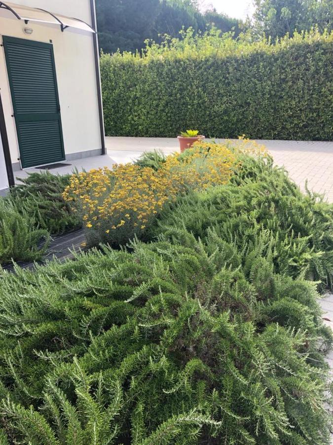 Rta La Pineta Aparthotel Sarzana Exterior foto
